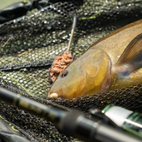 OMC FC Feeder Combo 10ft